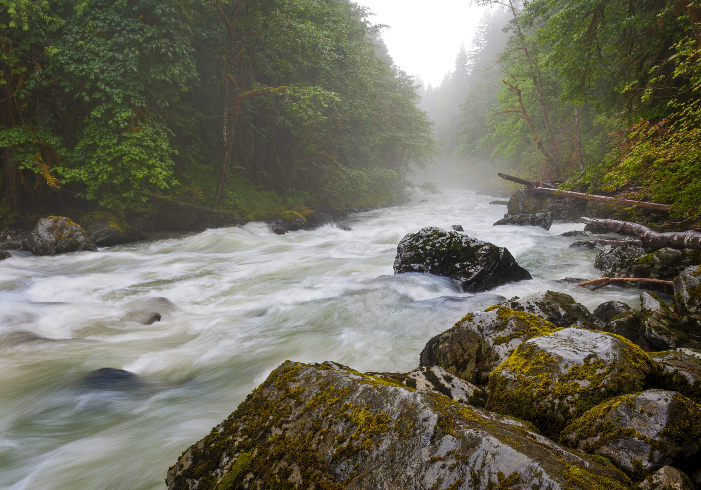 The boulder strewn Nooksack River is a river in the northwest part of the U.S. state of Washington. It drains an area of the Cascade Range around Mount Baker, near the Canadian border.