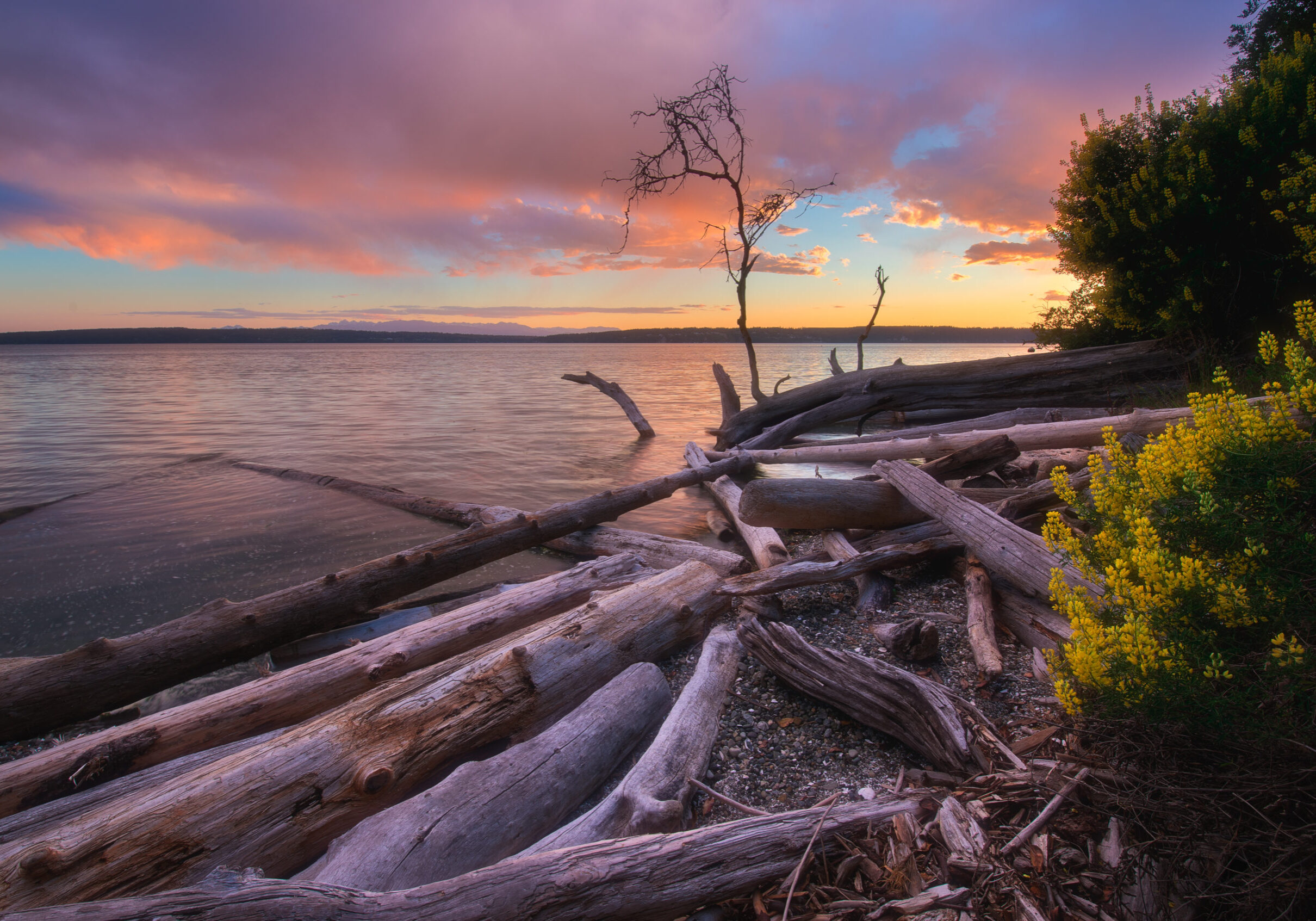 Camano Island State Park is a publicly owned park in Camano Island